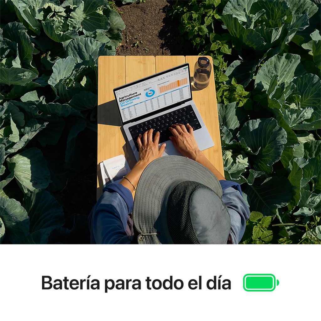 MacBook Pro 14" M4 - 10 CPU, 10 GPU, 24 GB, 1 TB - Plata