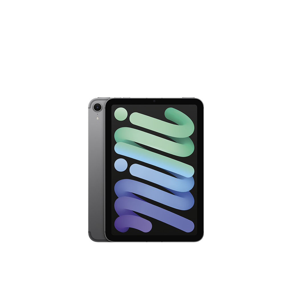 iPad mini Wi-Fi + Cellular